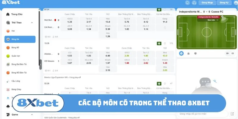 Tổng hợp kèo cược thu hút ở sảnh thể thao